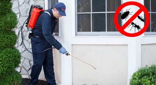 Karesi Bit İlaçlama böcek ilaçlama ve haşere kontrolü — ilaclama-tr.com